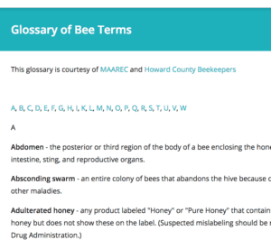 Glossary of Bee Terms