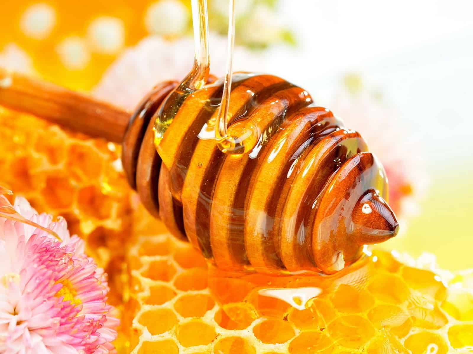 honey-consignment-rules-montgomery-county-beekeepers-assoc-maryland