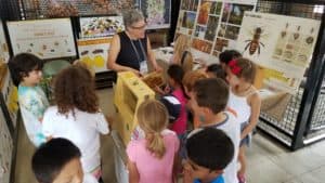 SIGN-UP as a Bee DOCENT at the MoCo Fair