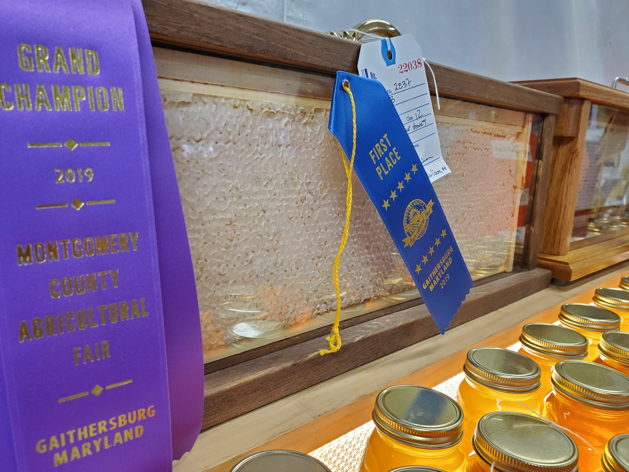 MoCo Ag Fair CONTESTS