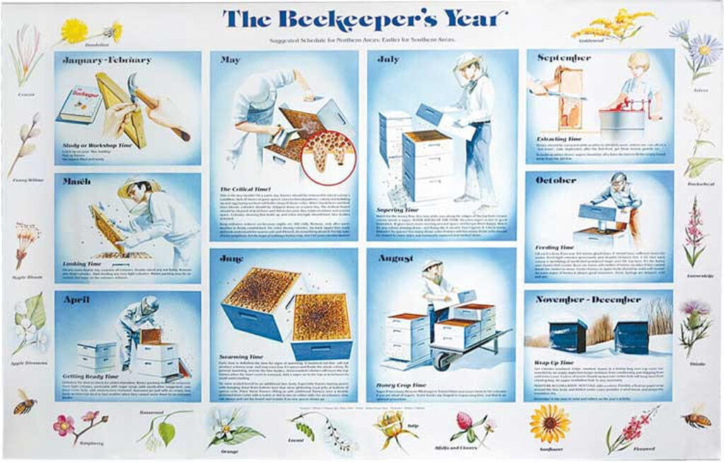 POSTER: Beekeepers Year