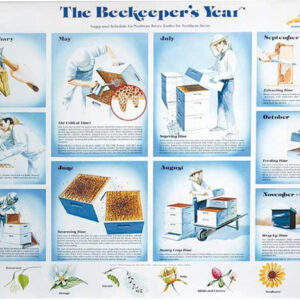 POSTER: Beekeepers Year